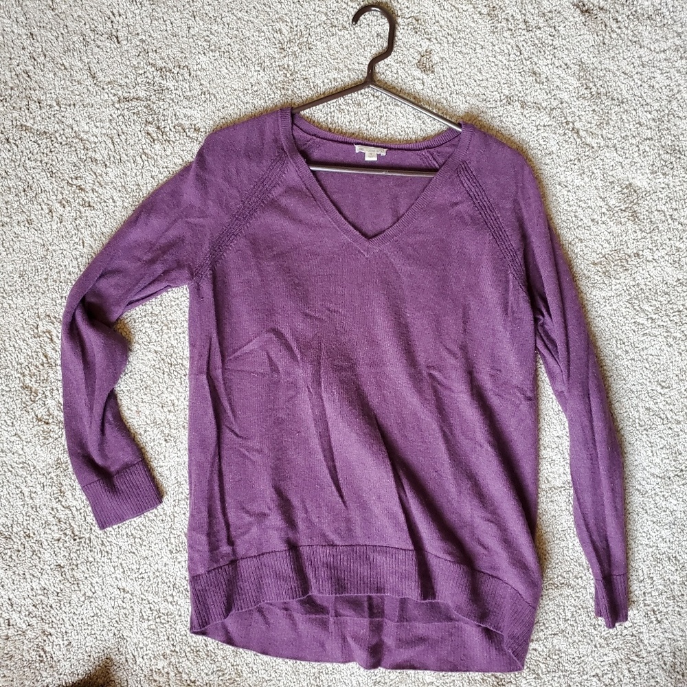 Gap Wool Blend V Neck Sweater